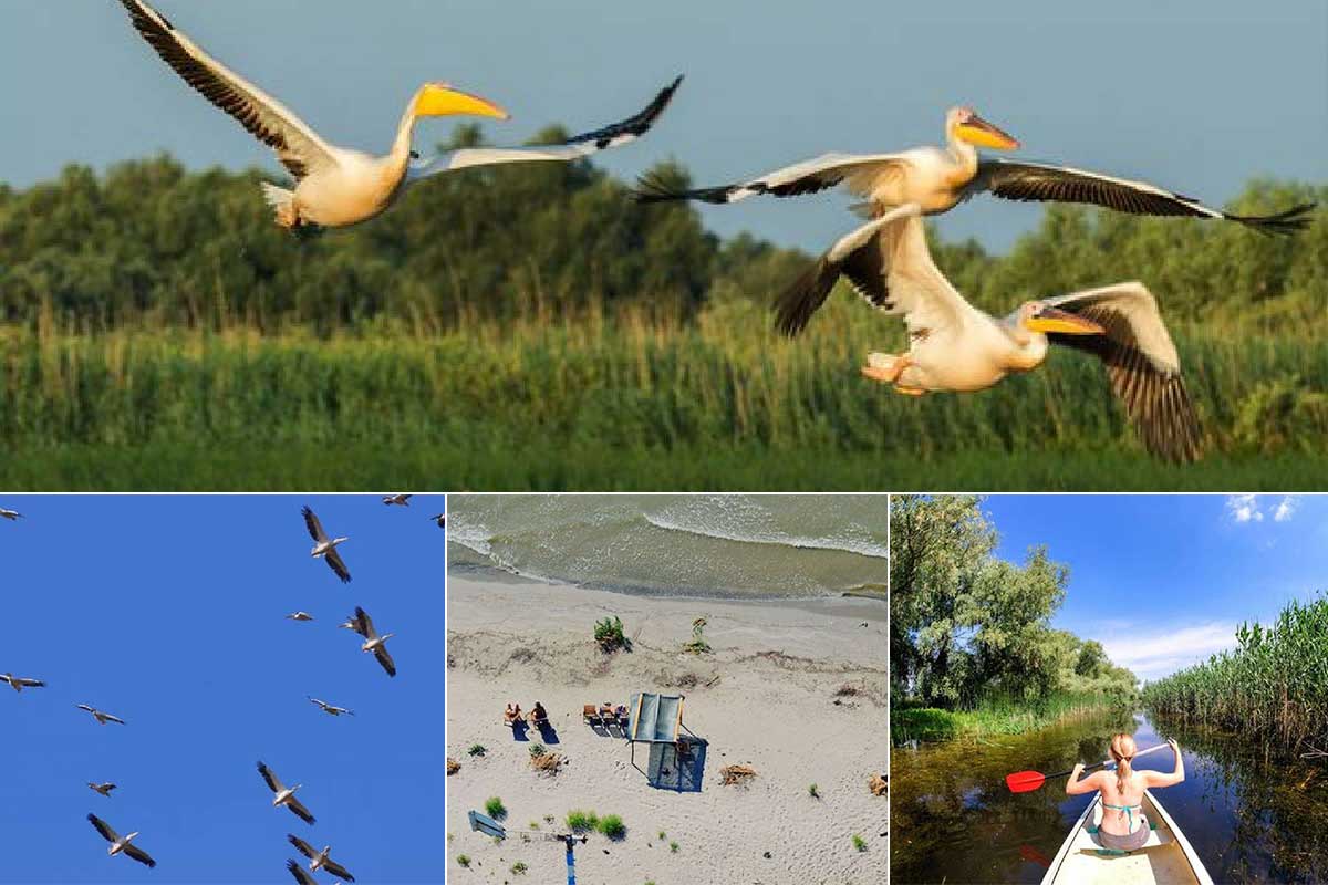 Donaudelta | Pelikane | Der Strand von Sulina
